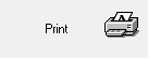 3. Print button