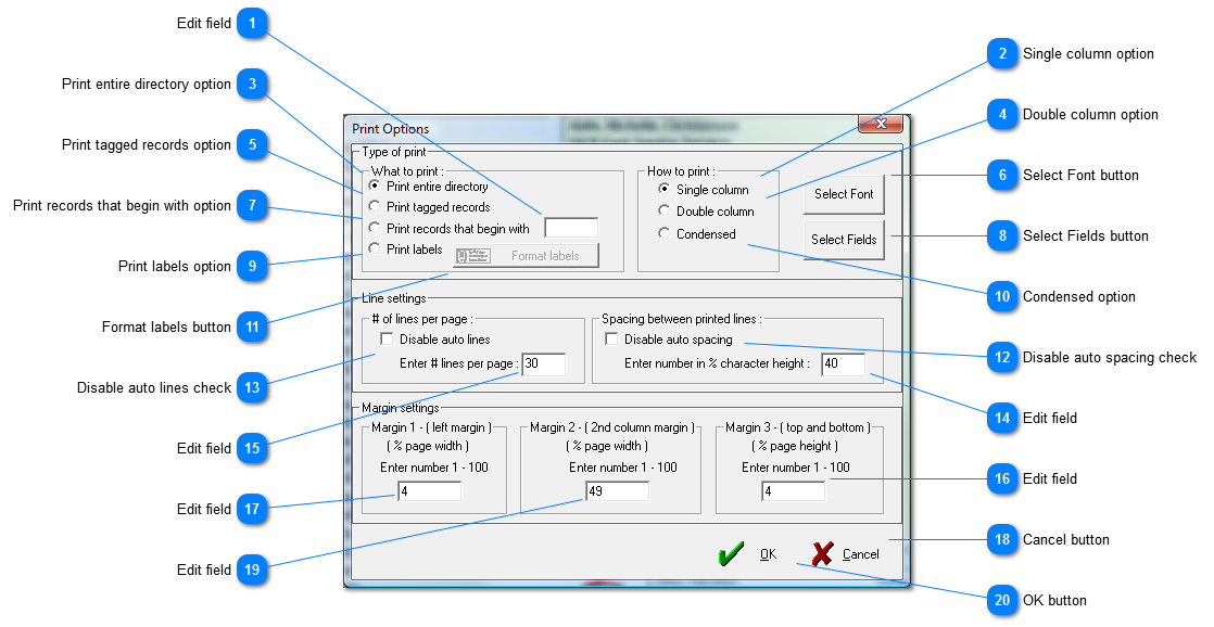 Print Options window