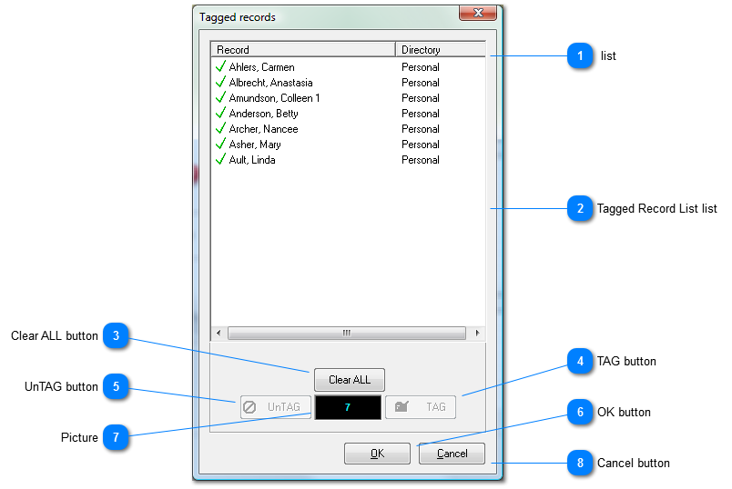 Tagged records window